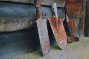 Three rusted mini spades propped up on an old blue wall for garden tool storage.