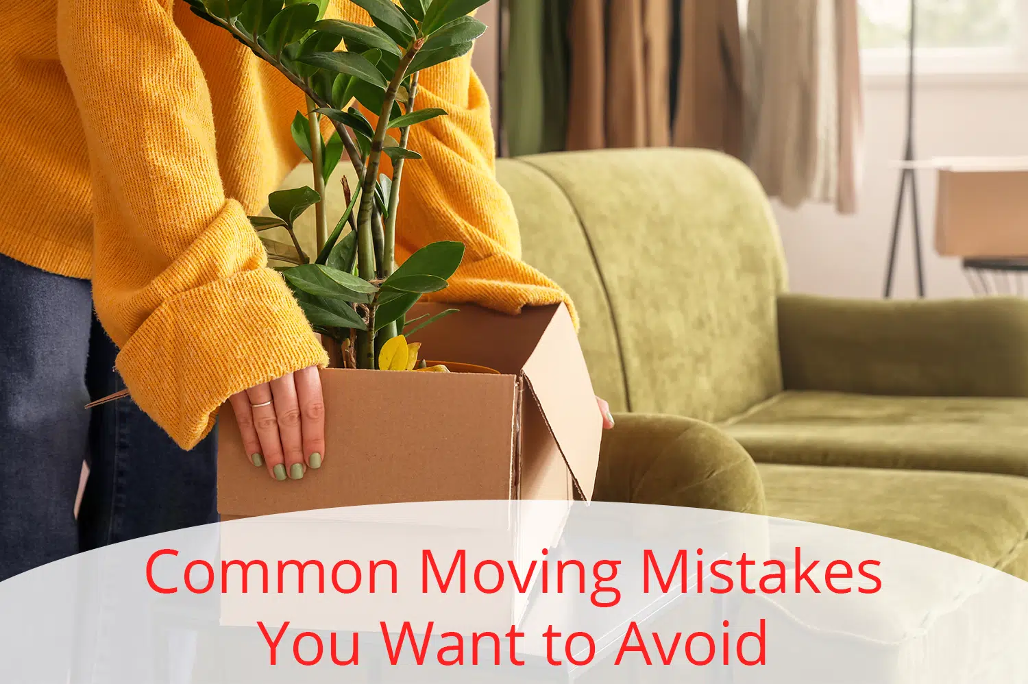 An anonymous woman packing a plant into a brown moving box next to a green couch.