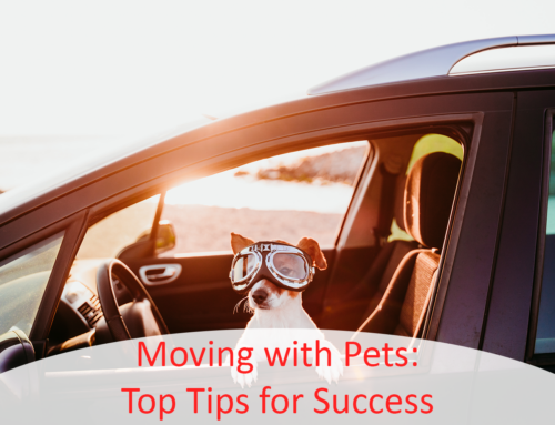 Moving with Pets: Top Tips for Success
