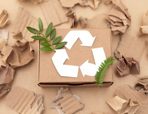 Eco-Friendly Organizing Tips for Bay Street Storage Users